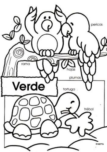 Actividades para enseñar el color verde a niños de educación infantil 3