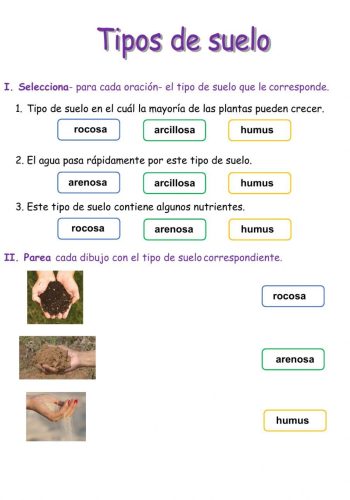 Altura, forma y tipo de suelo recomendado 2