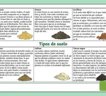 Altura, forma y tipo de suelo recomendado 3