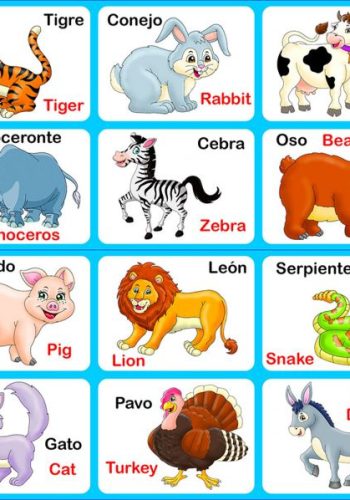Aprendiendo vocabulario y animales con fichas de colores en preescolar 1