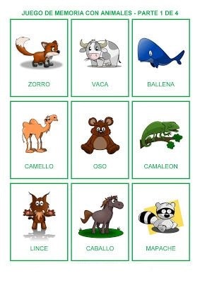 Aprendiendo vocabulario y animales con fichas de colores en preescolar 3