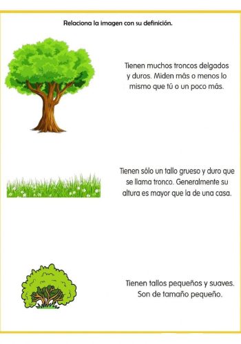 Árboles, palmeras, arbustos y trepadoras 2