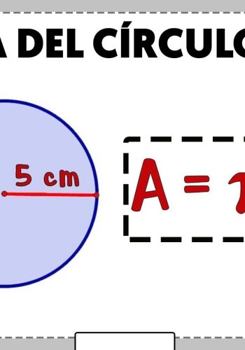 Área y perímetro de círculos 3