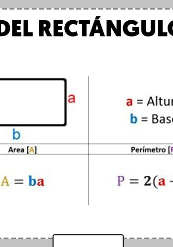 Área y perímetro de rectángulos 3