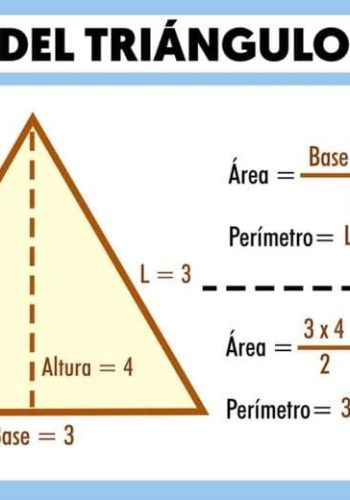 Área y perímetro de triángulos 1