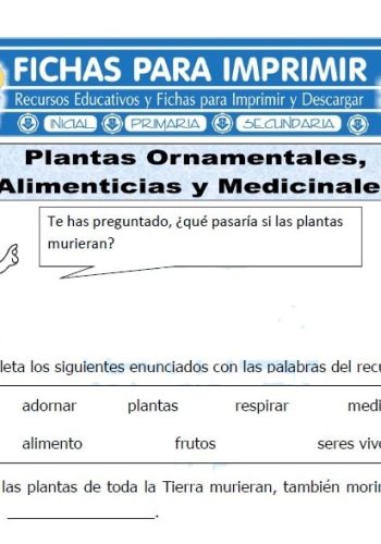 Ayuda en la selección adecuada de plantas ornamentales 2