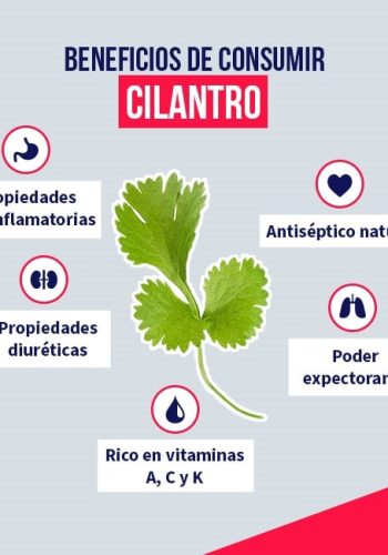 Fichas de plantas medicinales