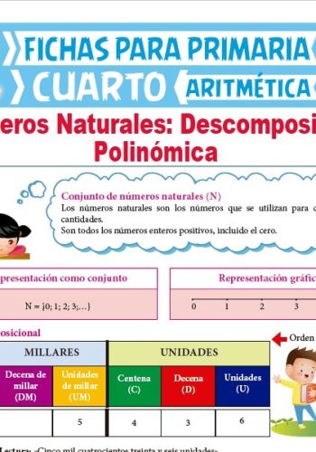 Concepto de descomposición de números 2