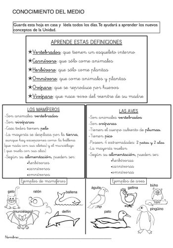 Conocimiento sobre animales y plantas en fichas de naturales 1