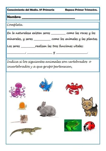 Conocimiento sobre animales y plantas en fichas de naturales 2