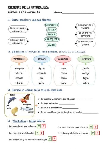 Conocimiento sobre animales y plantas en fichas de naturales 3