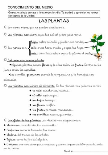 La importancia del medio ambiente y la naturaleza en las fichas de ciencias naturales 1
