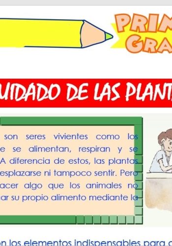 Cuidados y requerimientos básicos 1