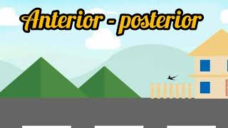 Definición de números anterior y posterior 3