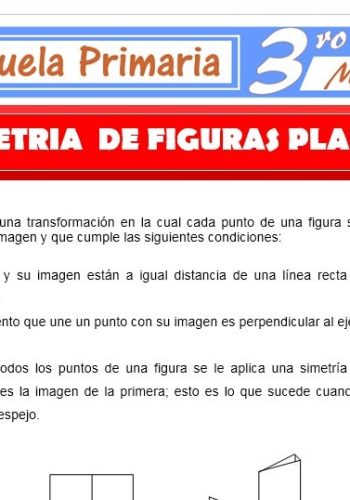 Definición de simetría en figuras planas 3
