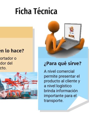 Definición y utilidad de las fichas 2