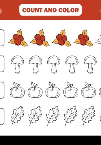 Desarrollo de habilidades de conteo y cálculo 1