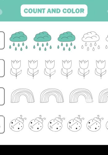 Desarrollo de habilidades de conteo y cálculo 2