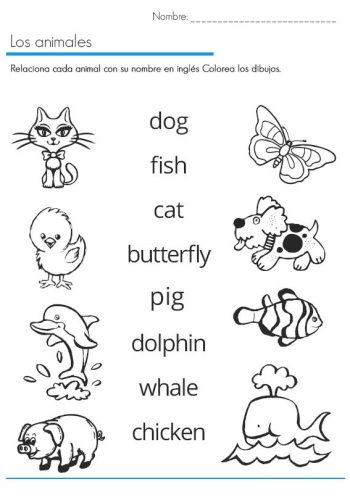 Ejercicios de vocabulario y actividades divertidas en inglés 3