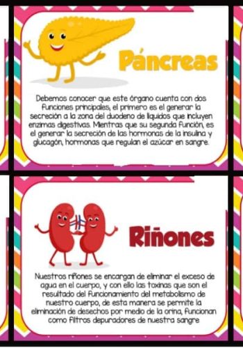 Uso de las fichas de naturales 4º Primaria como apoyo en el aprendizaje 3