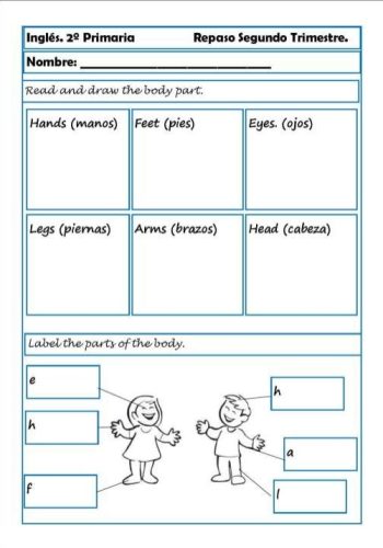 Fichas de repaso y refuerzo de temas específicos 1