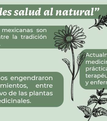 Hierbas para tratar dolencias respiratorias 2