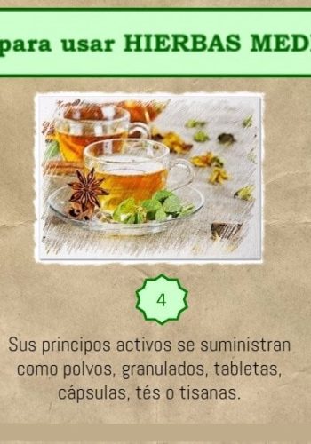 Importancia de fichas descriptivas de plantas 1