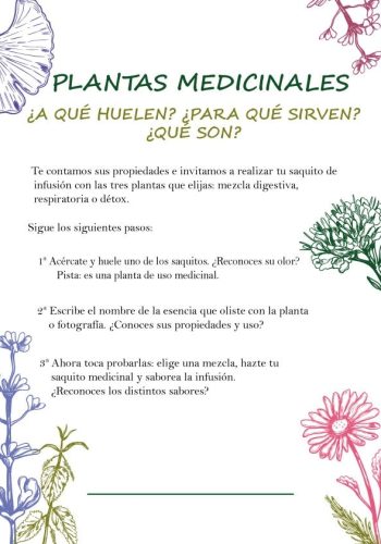 Importancia de fichas descriptivas de plantas 3