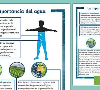 Importancia del agua y la humedad en la germinación 1