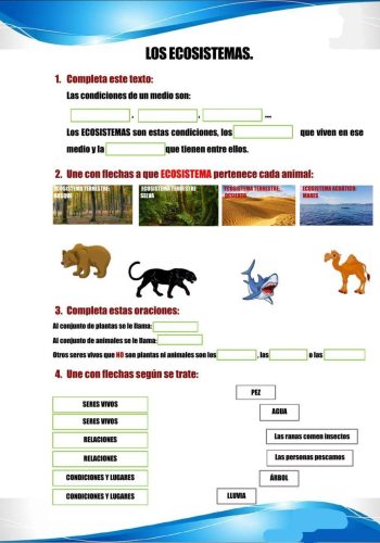 Juegos y actividades interactivas para aprender sobre la naturaleza 1