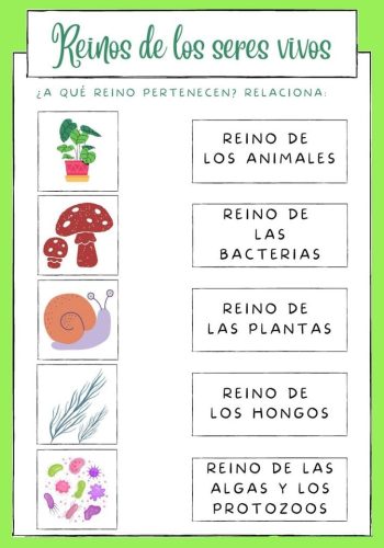 Juegos y actividades interactivas para aprender sobre la naturaleza 2