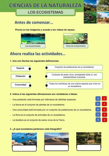 Juegos y actividades interactivas para aprender sobre la naturaleza 3
