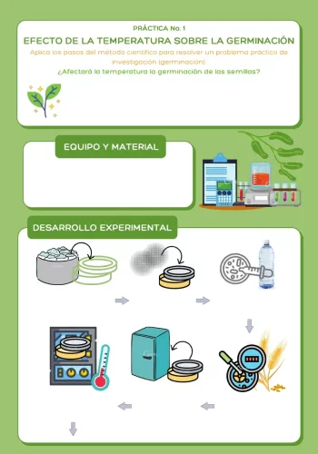 La temperatura adecuada para una germinación exitosa 2
