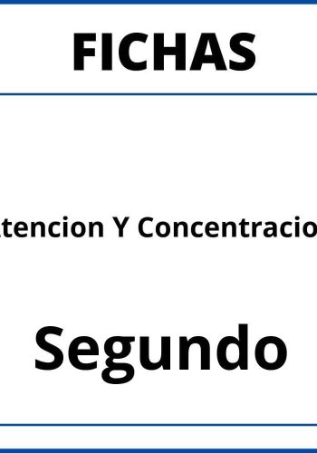 Mejora de la atención y concentración 1