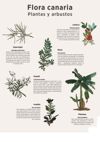 Métodos de identificación de especies 1