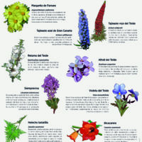 Métodos de identificación de especies 2