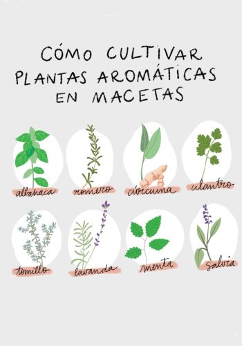 Fichas de plantas