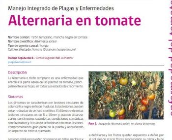 Plagas y enfermedades 3