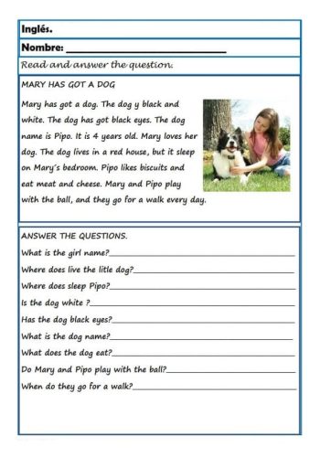 Promoción de la interactividad y participación 2