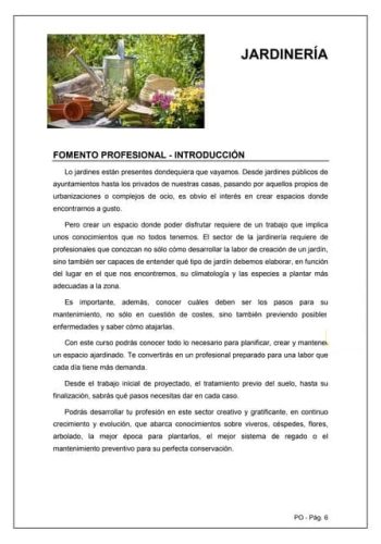Recomendaciones para el cultivo en interior y en el jardín 1