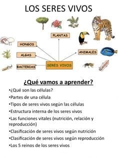Recursos y juegos relacionados con la materia de Ciencias Naturales 1