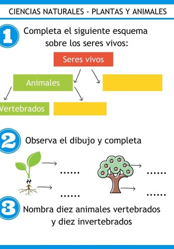 Recursos y juegos relacionados con la materia de Ciencias Naturales 2