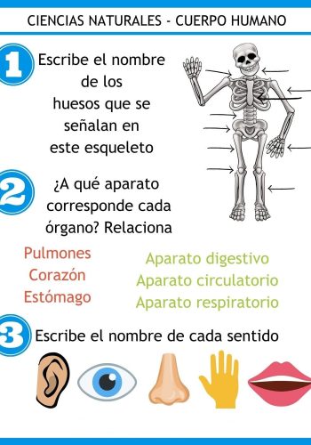 Recursos y juegos relacionados con la materia de Ciencias Naturales 3