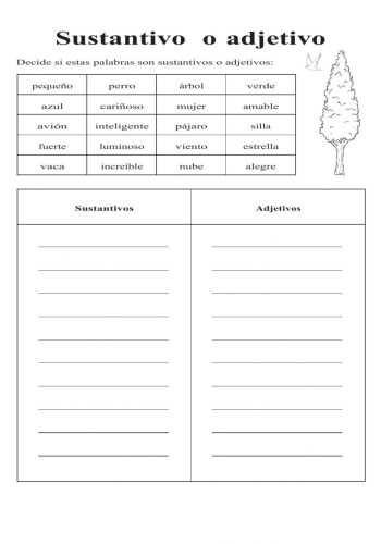 Sustantivos y adjetivos 1