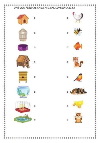 Tipos de fichas interactivas disponibles 2