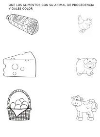 Tipos de fichas interactivas disponibles 3