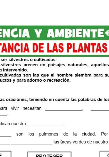 Ventajas de utilizar fichas para el cuidado de plantas 1