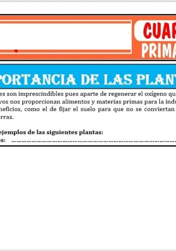 Ventajas de utilizar fichas para el cuidado de plantas 2