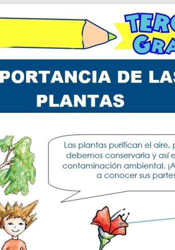 Ventajas de utilizar fichas para el cuidado de plantas 3
