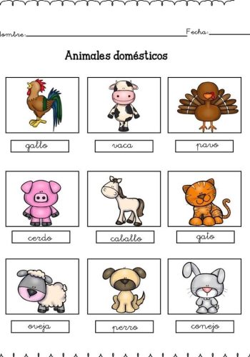 Fichas de animales